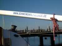 Schweinswalfreunde