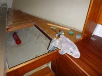 Wieder an Bord