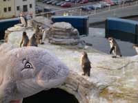Pinguine